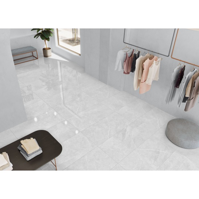 Tales Light Grey Polished 60x120 cm Floor & Wall Tile